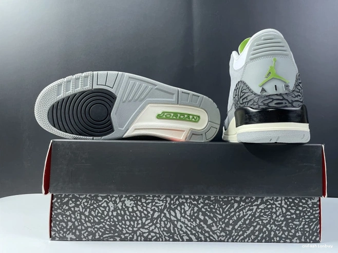 136064-006 3 Jordan Retro Chlorophyll Air 0811